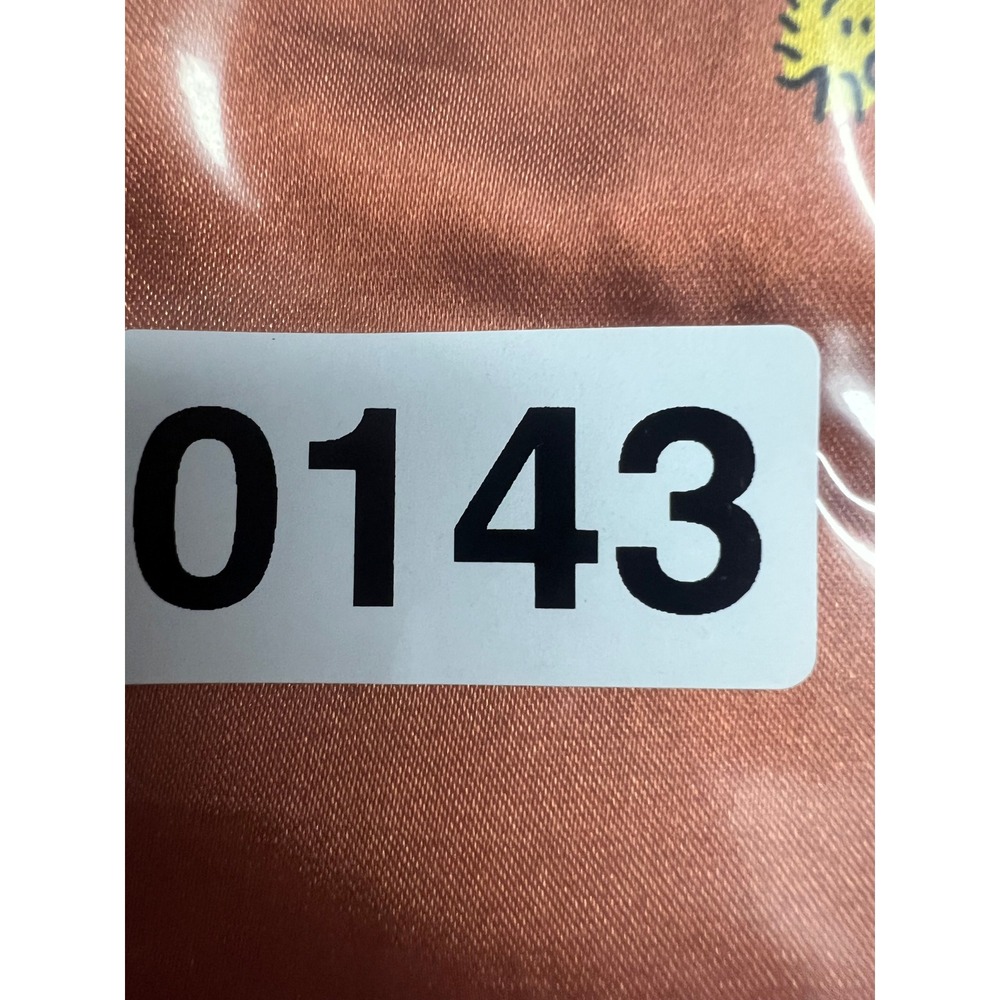 American Eagle Peanuts Snoopy Fall 2024 Satin Shorts M Halloween Pumpkins - Picture 11 of 11